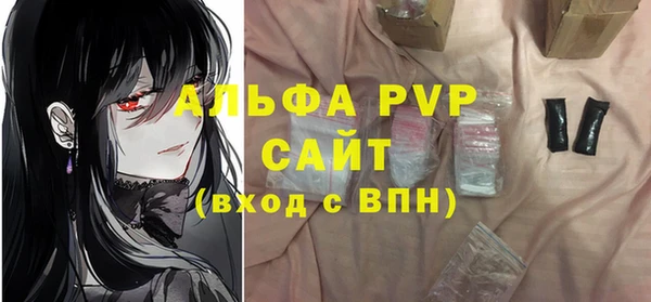 ГАЛЛЮЦИНОГЕННЫЕ ГРИБЫ Бородино