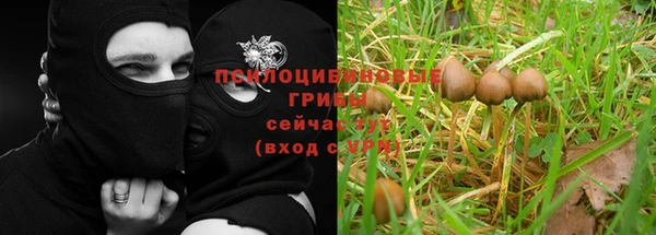 мет Верхний Тагил