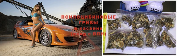 мет Верхний Тагил