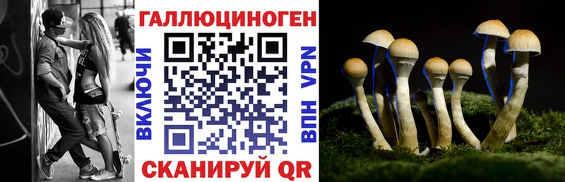 цена наркотик  Георгиевск  Галлюциногенные грибы прущие грибы 
